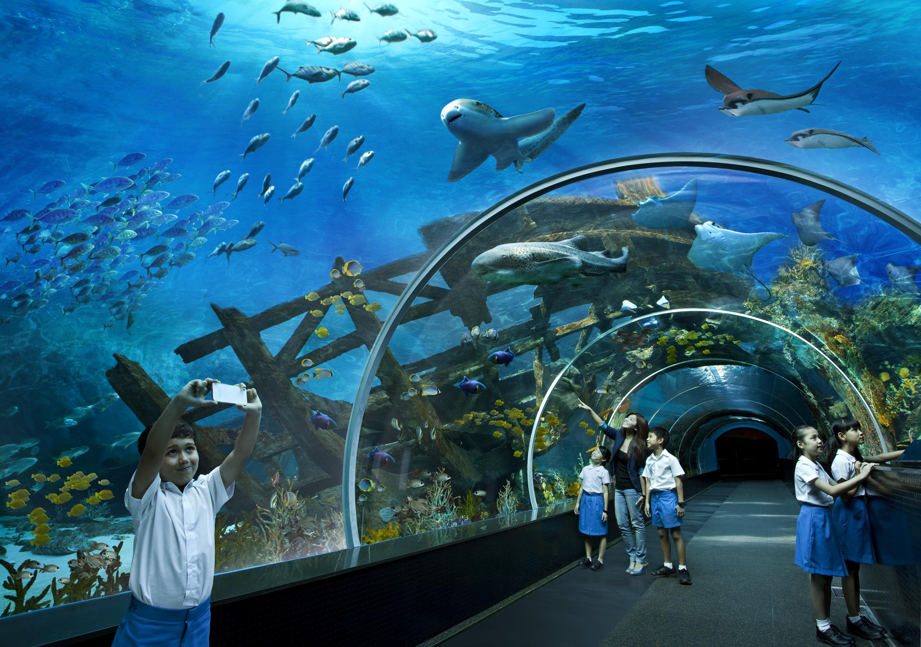 Resorts World Sentosa - Hotel Michael  Singapur Exterior foto