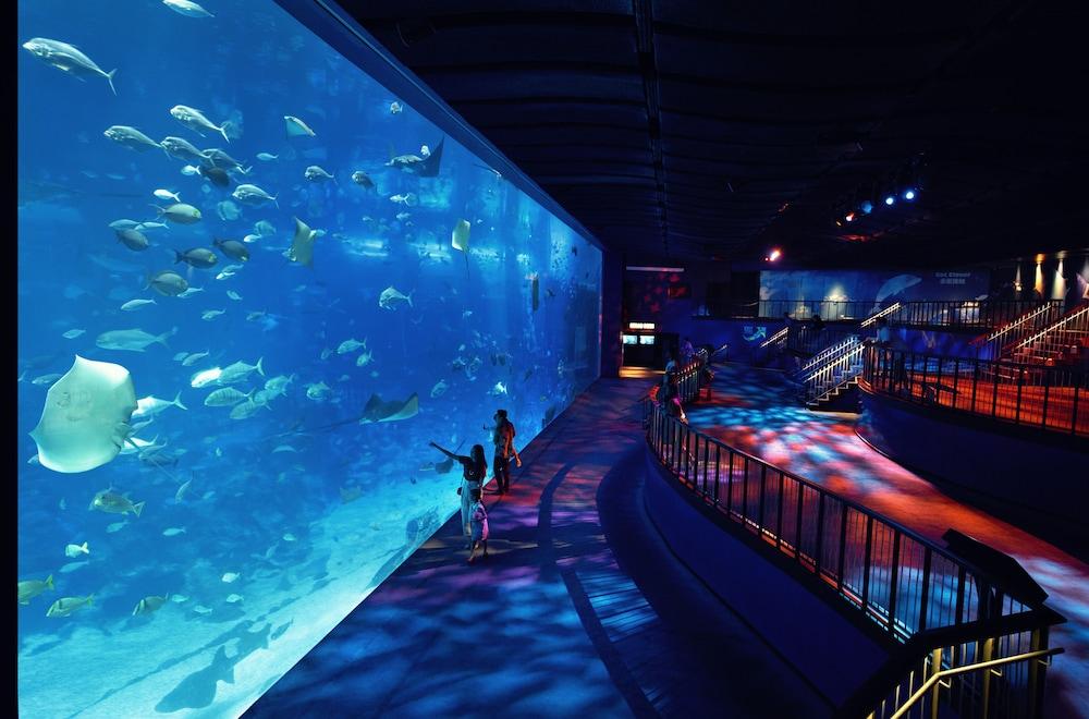 Resorts World Sentosa - Hotel Michael  Singapur Exterior foto